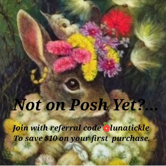 NIB Te Teas Terracotta Ceremony Teapot in Ornate Box - Picture 10 of 12